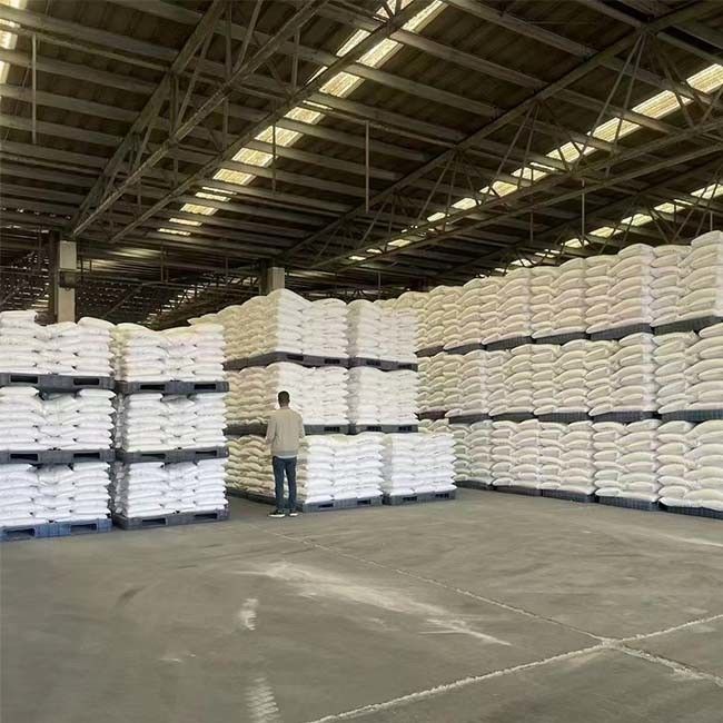 De Hoge Zuiverheids Bijtende Soda 99 van NaOH van het Hydroxydevlokken van het Vlokkennatrium het Emailproductie